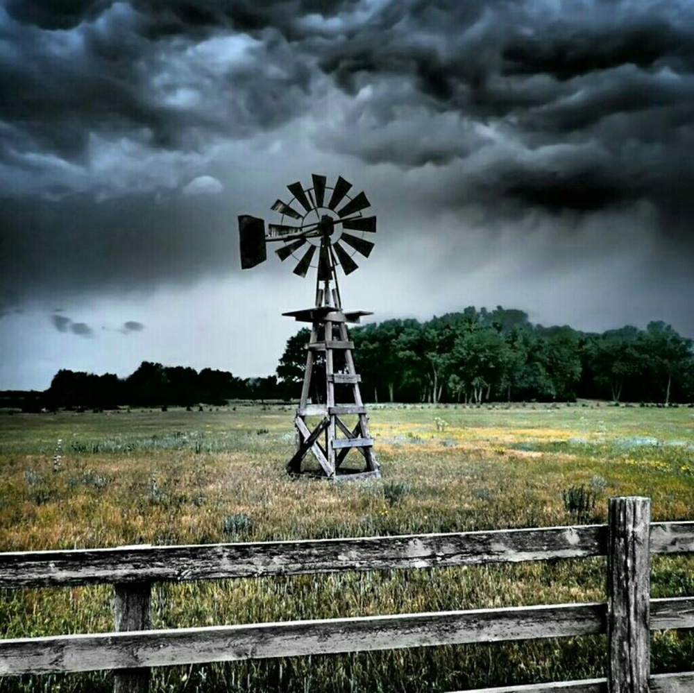 Meet your Posher, Regina